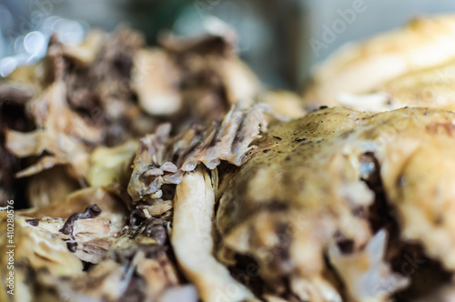 close up detail of boiled chicken with soft focus background prepared for meal