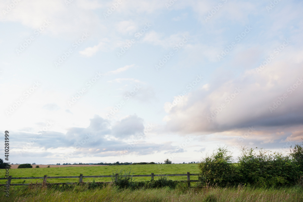 Ireland, County Westmeath, landscape with pasture Ireland, County Westmeath, landscape with pasture