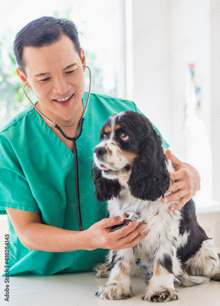 Mid adult vet attending to dog Mid adult vet attending to dog