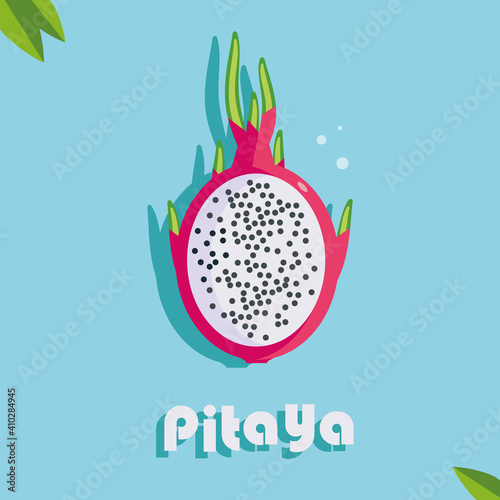 pitaya, a bright, juicy drawing of a tropical, sweet, cutaway fruit on a bright background