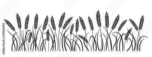 Field black silhouette wheat spikelets. Gold ears ripe, agricultural symbol flour production. Design background organic farm elements, organic vegetarian bread packaging beer label vector