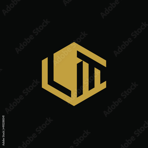 Initial letter LM hexagon logo design vector
