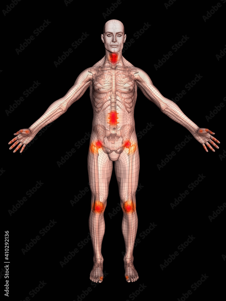 Digitally generated male figure showing body parts Digitally generated male figure showing body parts