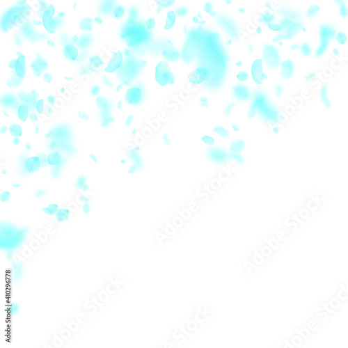 Turquoise flower petals falling down. Exceptional