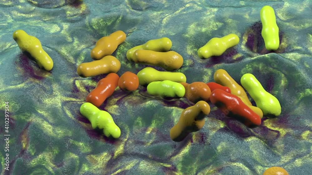 Clostridium bacterial spores, animation 素材庫影片 Adobe Stock