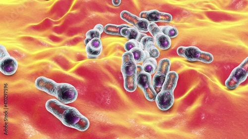 Clostridium bacterial spores, animation photo