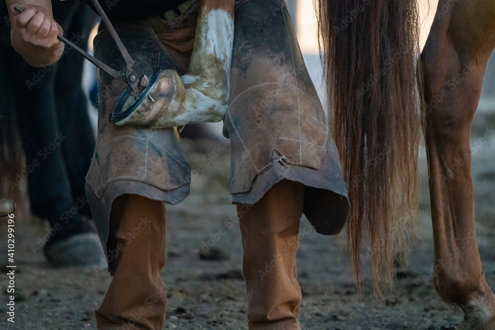 Horses and cowboys at a roundup in Montana