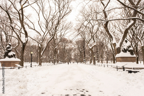 winter in the park