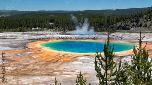Yellowstone National Park Landscape Spring