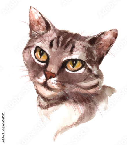 Hand-drawn watercolor and pencils portrait of a cat isolated on white background