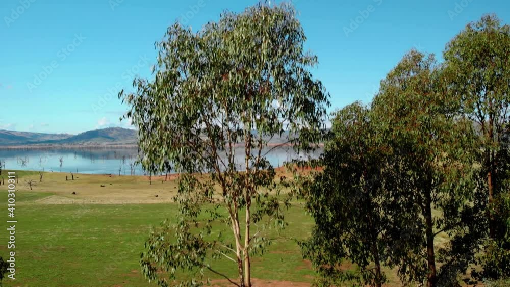 Aerial view in front of trees, revealing the Lake Hume, sunny day, in Victoria, Australia - rising, drone shot