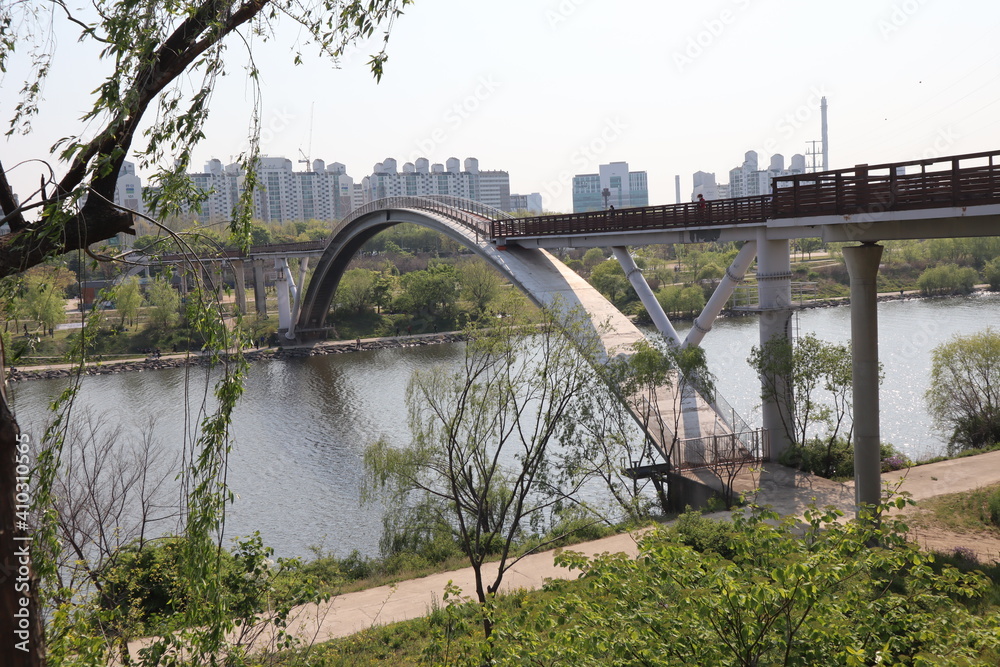 Obraz premium bridge over river in the park, South Korea