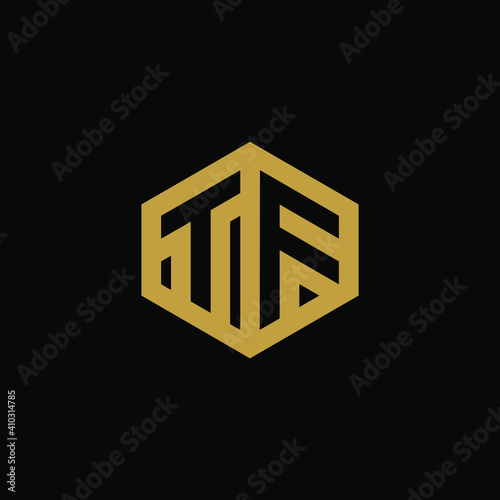 Initial letter TF hexagon logo design vector