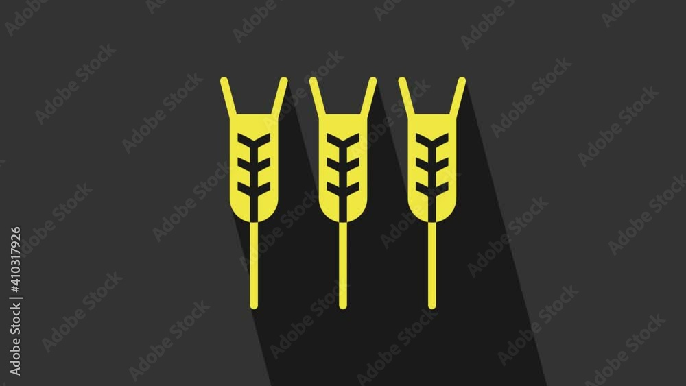 Yellow Cereals set with rice, wheat, corn, oats, rye, barley icon isolated on grey background. Ears of wheat bread symbols. 4K Video motion graphic animation Yellow Cereals set with rice, wheat, corn, oats, rye, barley icon isolated on grey background. Ears of wheat bread symbols. 4K Video motion graphic animation