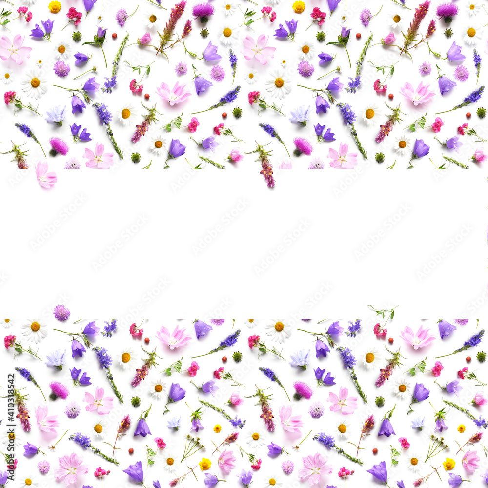 Frame with place for text from plants, wild flowers isolated on white background, top view. The concept of summer, spring, Mother's Day, March 8. 