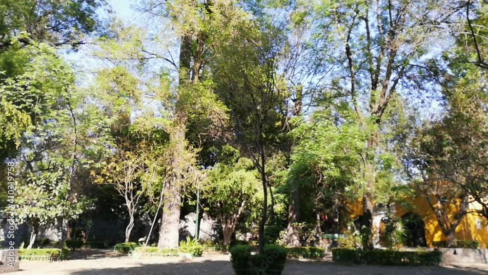 People walking around in peaceful park from Coyoacan