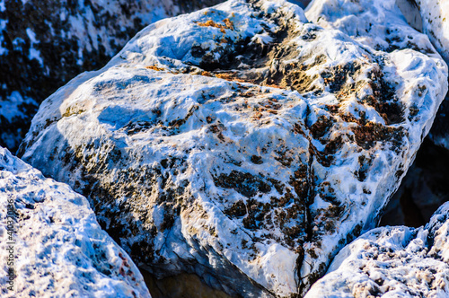 close up detail of rock surface with variety of colors under natural sunlight photo