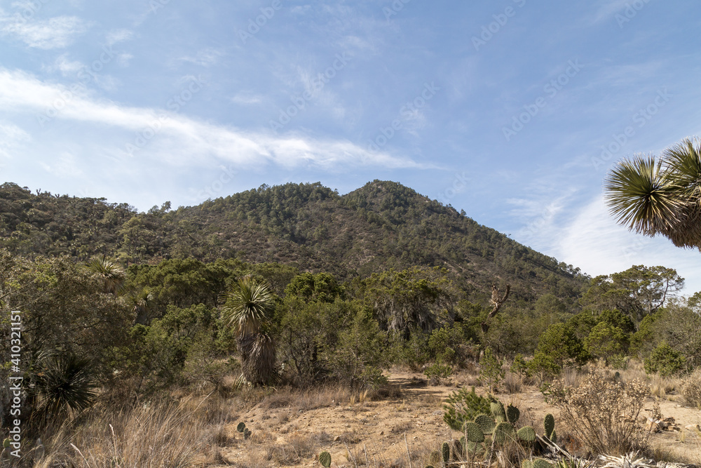 Monte Pizarro en puebla mexico