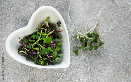 Red radish microgreens on a concrete table, healthy concept