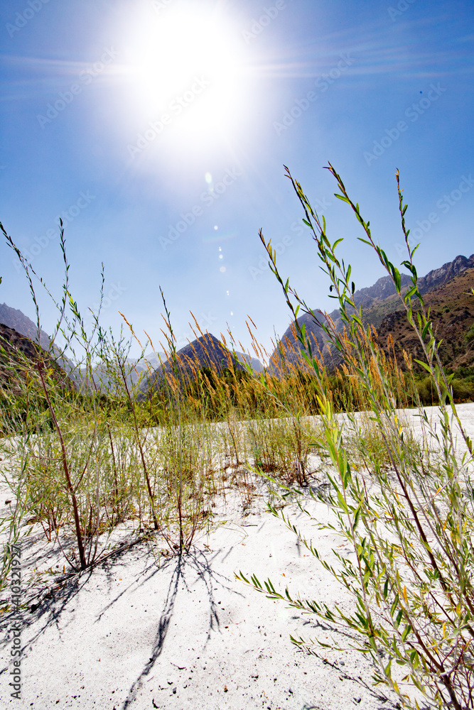 Obraz premium Beautiful landscape of the Fann Mountains,Tajikistan