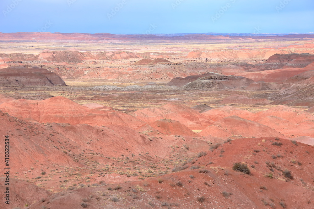 Petrified Forest National Park is in northeastern Arizona.