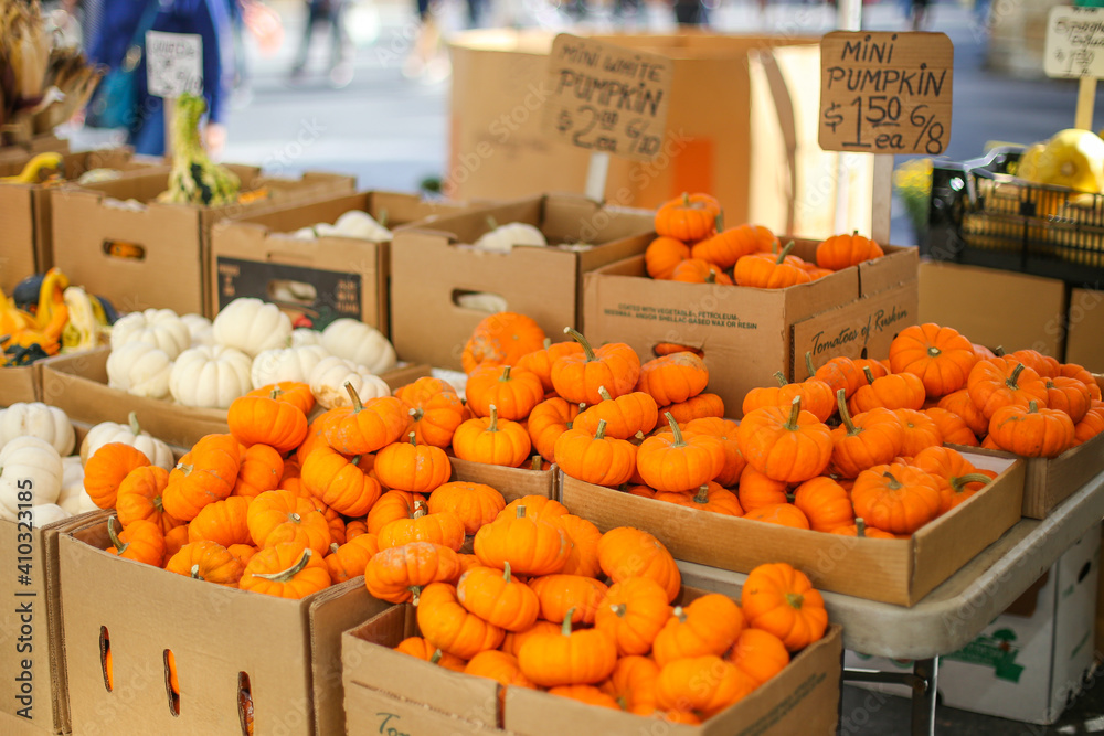 pumpkin  at the market