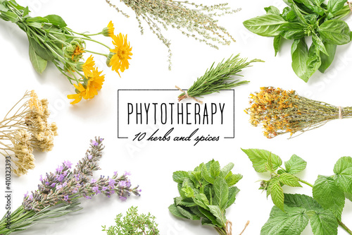 Different healthy herbs on ...