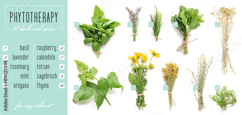 Different healthy herbs on ...