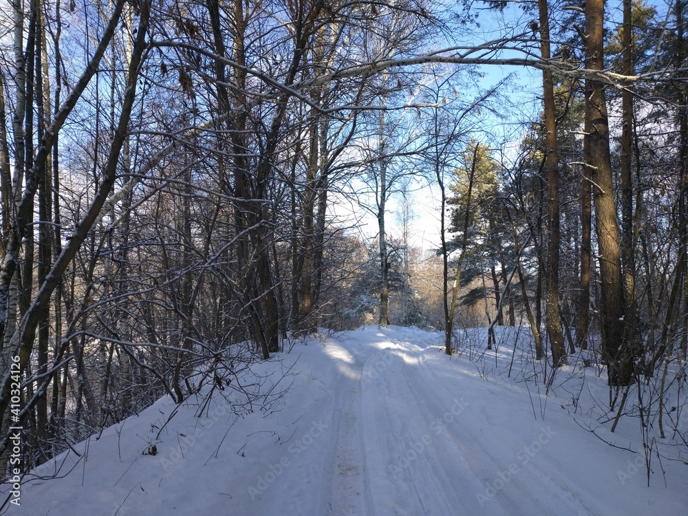 Obraz premium road in winter