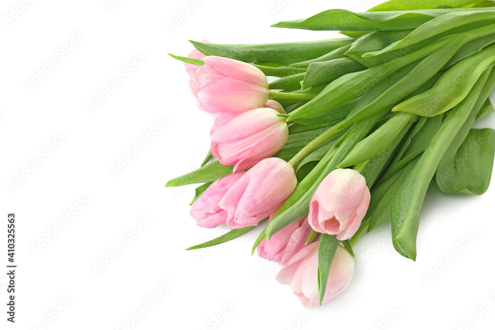 Beautiful tulip flowers on white background Beautiful tulip flowers on white background