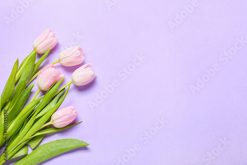Beautiful tulip flowers on color background #410325588