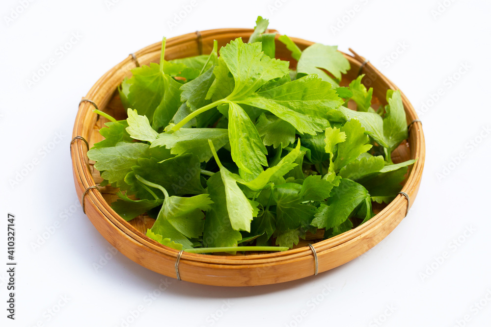 Chinese celery on white background Chinese celery on white background