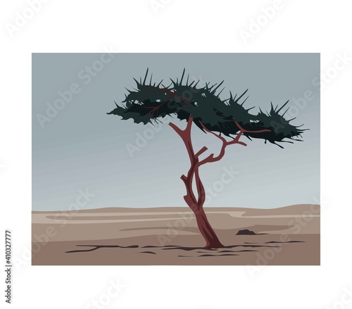 The Ténéré Tree was a solitary acacia, of either Acacia raddiana or Acacia tortilis, that was once considered the most isolated tree on Earth