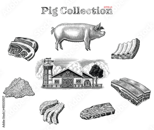 Pig collection hand draw vintage engraving style clip art isolated on white background