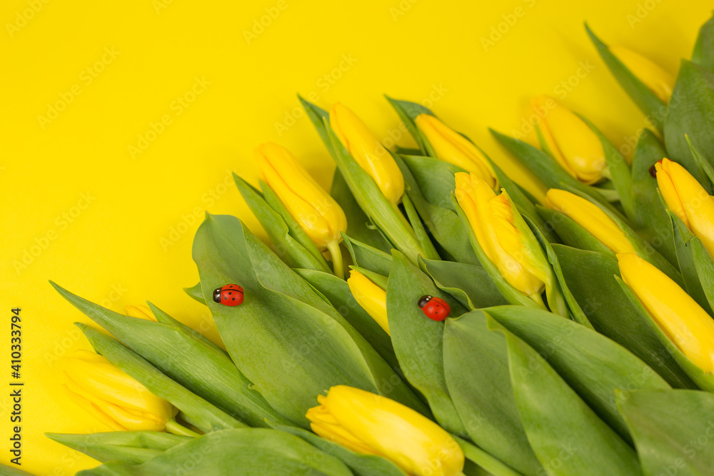 Yellow tulips. Bouquet on a yellow background. postcard on March 8, mother's day, birthday. space for the text. Yellow tulips. Bouquet on a yellow background. postcard on March 8, mother's day, birthday. space for the text.