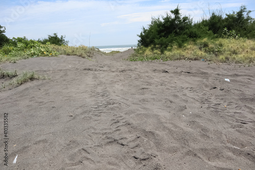 sand dunes in the beach