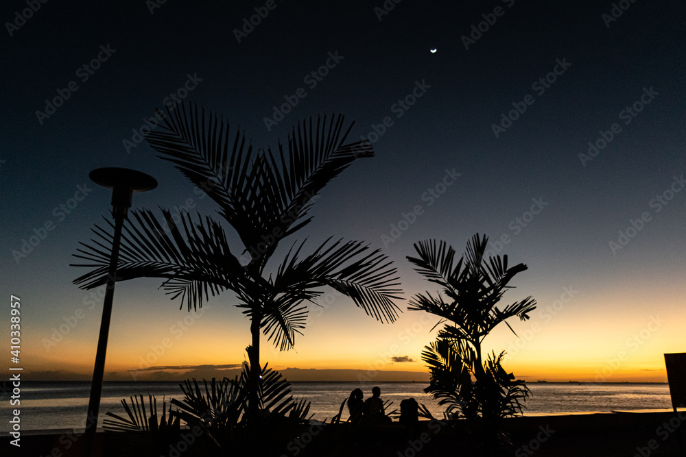 Silhouette of palm tress with setting sun backdrop