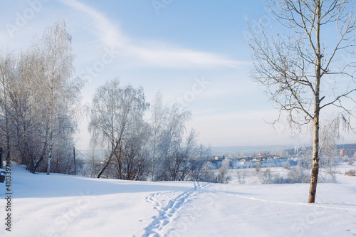 snowy forest, winter nature © Yulia Mukhina