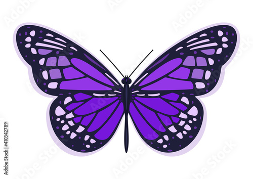 Dark purple butterfly. Vector illustration on a white background. © OnD
