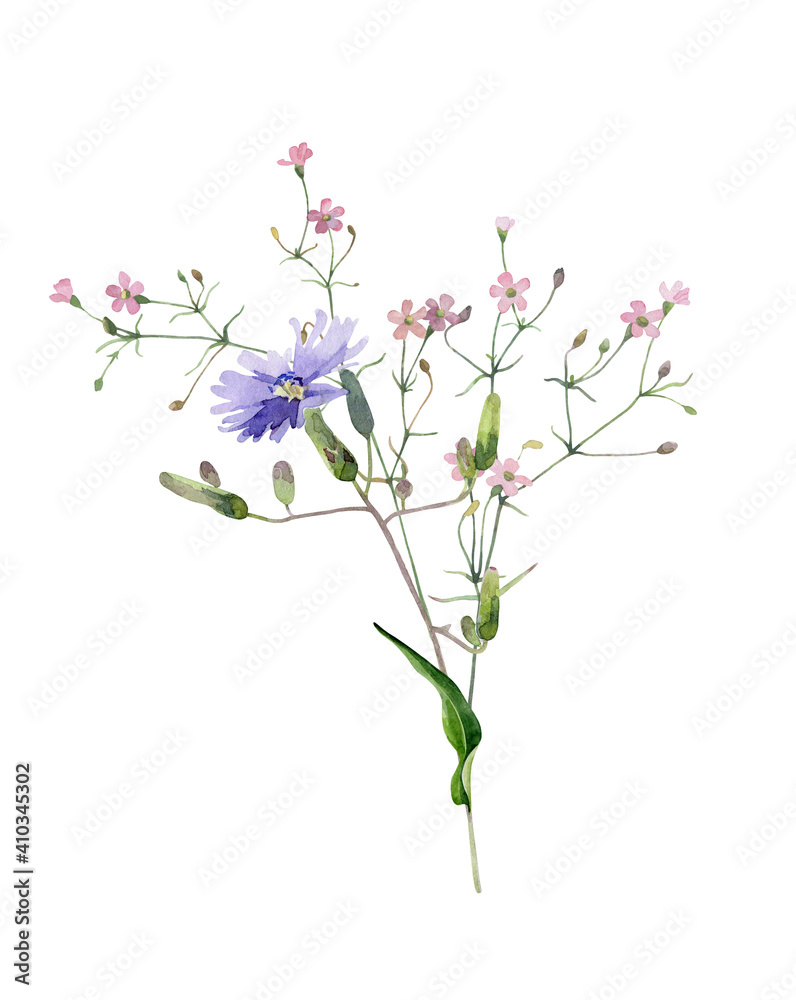 Watercolor bouquet of blue chamomile and pink flowers on a white background. For congratulations, invitations, weddings, anniversaries, birthdays 
