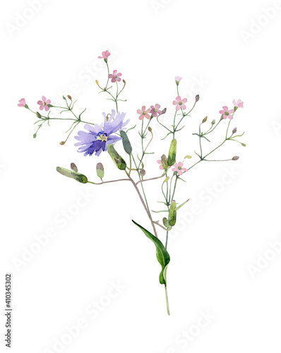 Watercolor bouquet of blue chamomile and pink flowers on a white background. For congratulations, invitations, weddings, anniversaries, birthdays 
