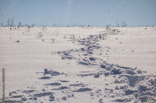 Footprints in snow along a hill on a cold winter's day.
