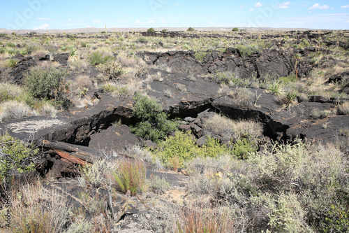 Valley of Fires Recreation Area in Tularosa Valley, New Mexico, USA photo