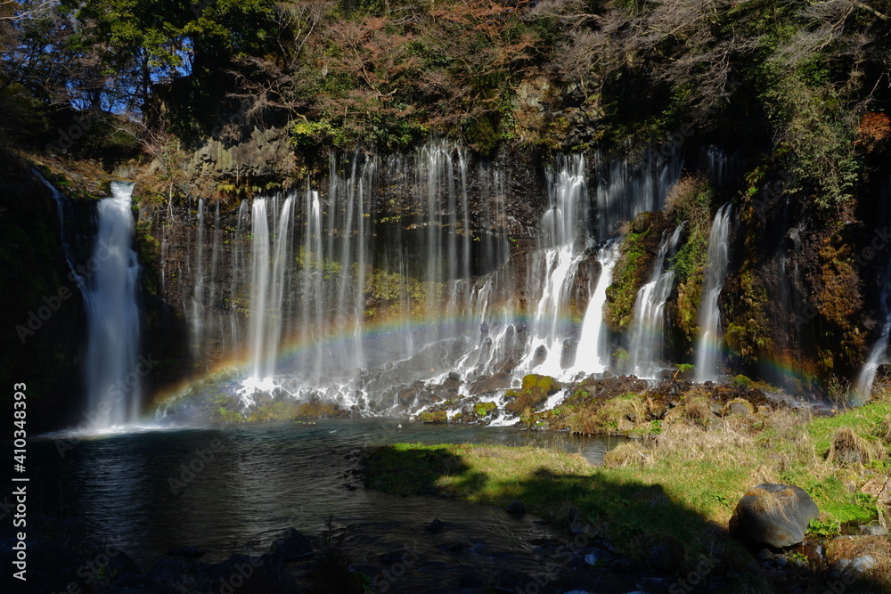 Fototapeta premium 白糸の滝