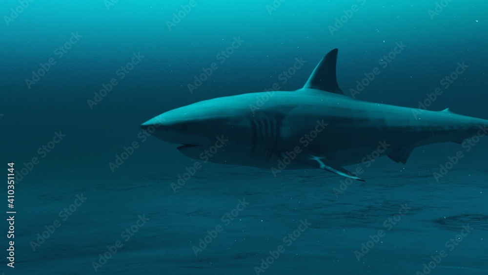 Closeup of Great white shark swimming in the deep blue ocean water, underwater scene of white shark, Beauty of sea life , 4K High Quality, 3d render Closeup of Great white shark swimming in the deep blue ocean water, underwater scene of white shark, Beauty of sea life , 4K High Quality, 3d render