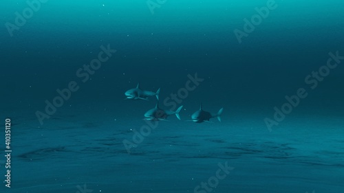 Three Great white sharks swimming in the deep blue ocean water, underwater scene of white sharks, Beauty of sea life , 4K High Quality, 3d render