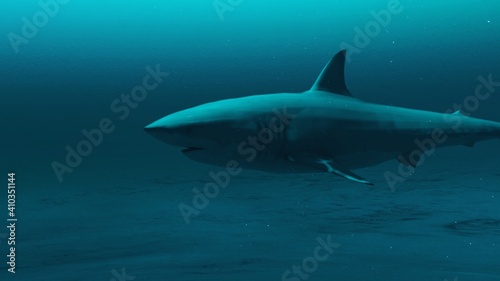 Closeup of Great white shark swimming in the deep blue ocean water, underwater scene of white shark, Beauty of sea life , 4K High Quality, 3d render