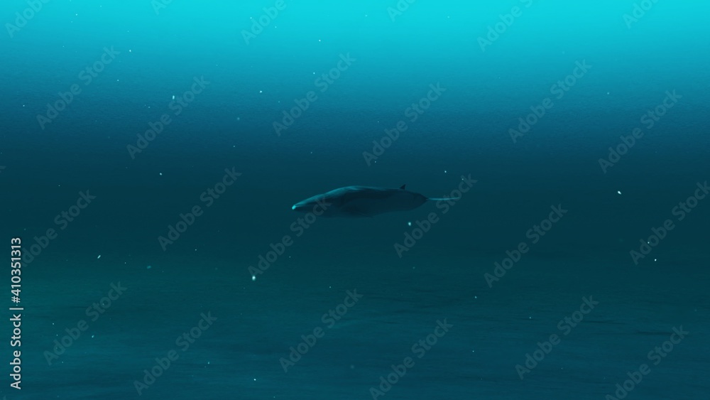 Fototapeta premium Closeup of Rorqual whale swimming in the deep blue ocean water, underwater scene of Rorqual whale, Beauty of sea life , 4K High Quality, 3d render