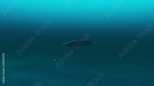 Closeup of Rorqual whale swimming in the deep blue ocean water, underwater scene of Rorqual whale, Beauty of sea life , 4K High Quality, 3d render