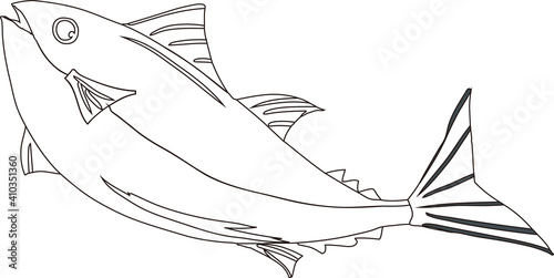 マグロの線画